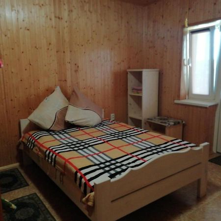 Білий Лебідь Pulemets Esterno foto