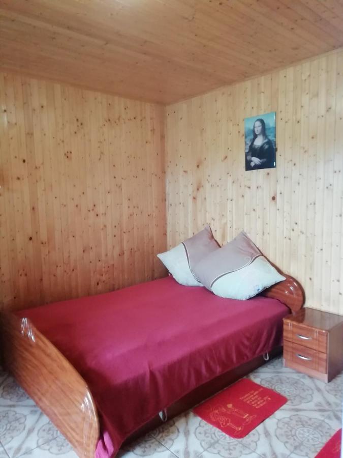 Білий Лебідь Pulemets Esterno foto