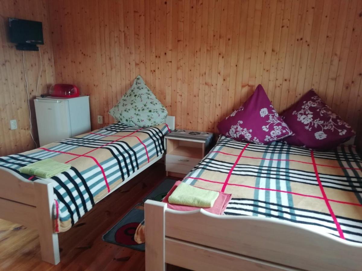 Білий Лебідь Pulemets Esterno foto