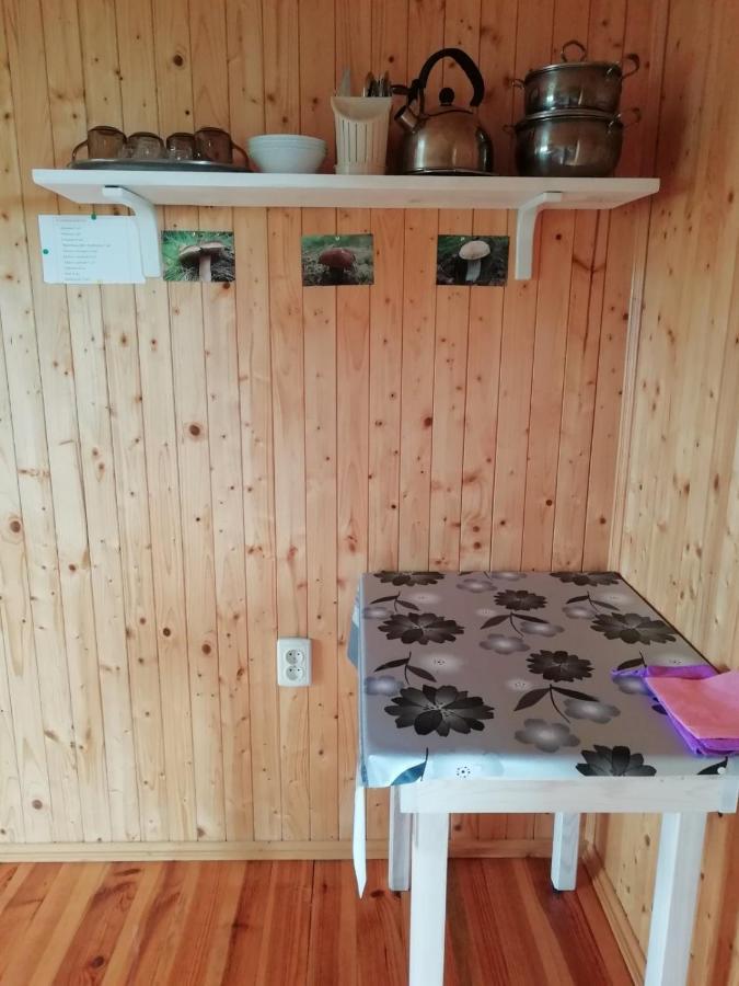Білий Лебідь Pulemets Esterno foto