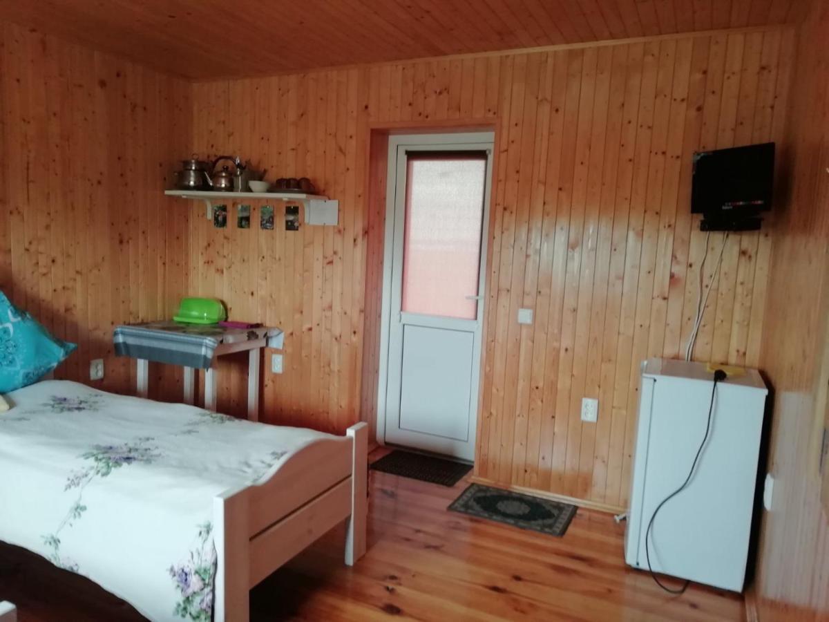Білий Лебідь Pulemets Esterno foto