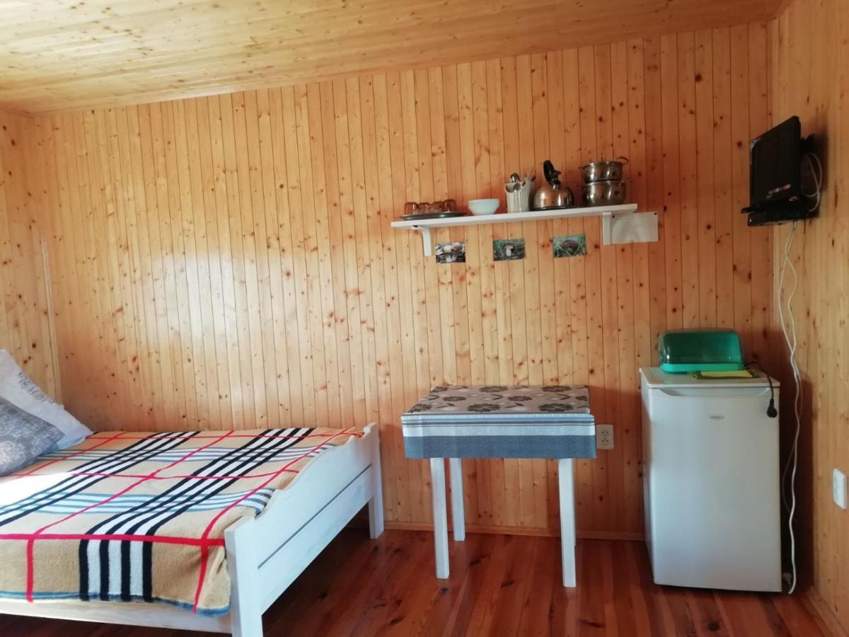 Білий Лебідь Pulemets Esterno foto